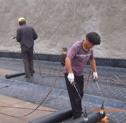 膠南專業(yè)防水服務全解析 從公司電話、廠家到工程價格與施工